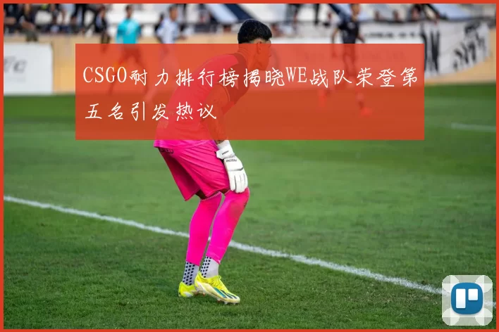 CSGO耐力排行榜揭晓WE战队荣登第五名引发热议