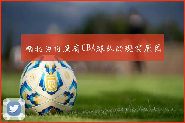 湖北为何没有CBA球队的现实原因