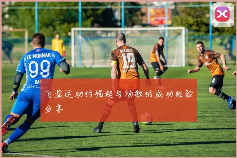 飞盘运动的崛起与杨敏的成功经验分享