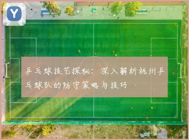 乒乓球技艺探秘：深入解析杭州乒乓球队的防守策略与技巧