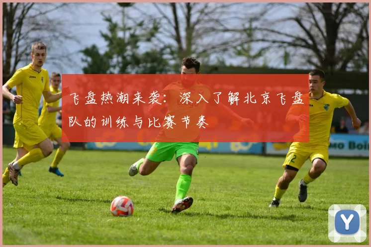飞盘热潮来袭：深入了解北京飞盘队的训练与比赛节奏