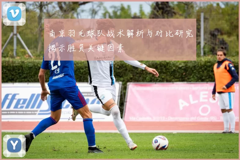 南京羽毛球队战术解析与对比研究揭示胜负关键因素