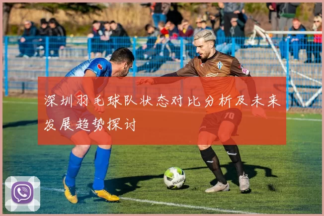 深圳羽毛球队状态对比分析及未来发展趋势探讨