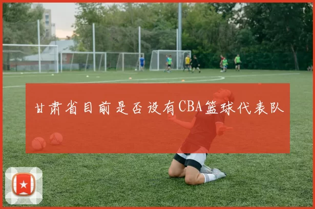 甘肃省目前是否设有CBA篮球代表队