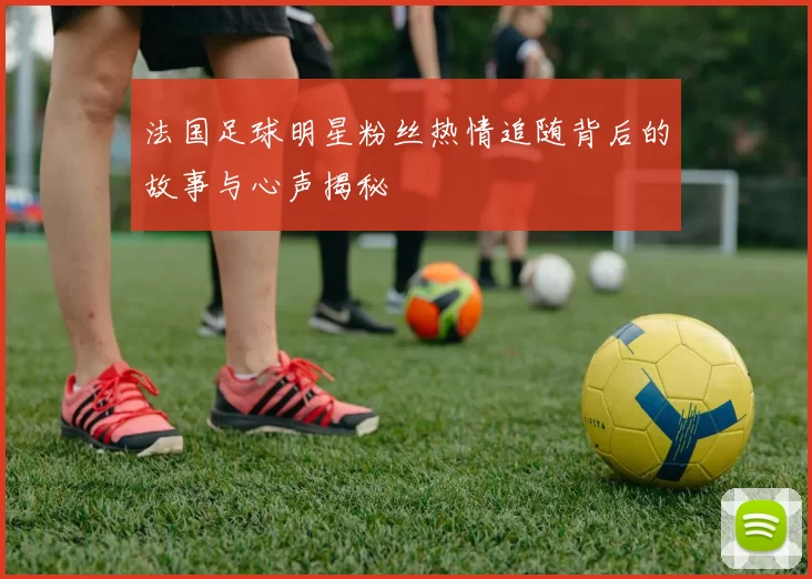 法国足球明星粉丝热情追随背后的故事与心声揭秘