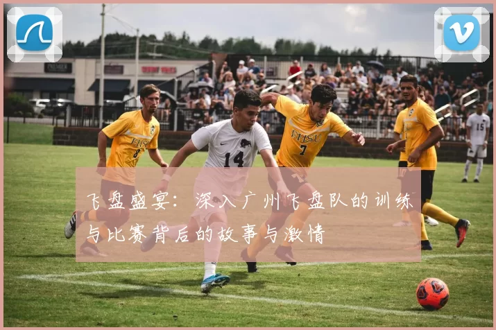 飞盘盛宴：深入广州飞盘队的训练与比赛背后的故事与激情