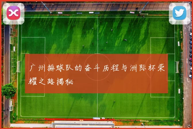 广州排球队的奋斗历程与洲际杯荣耀之路揭秘