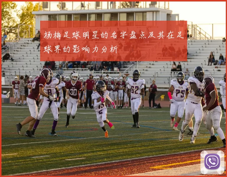 杨梅足球明星的名字盘点及其在足球界的影响力分析