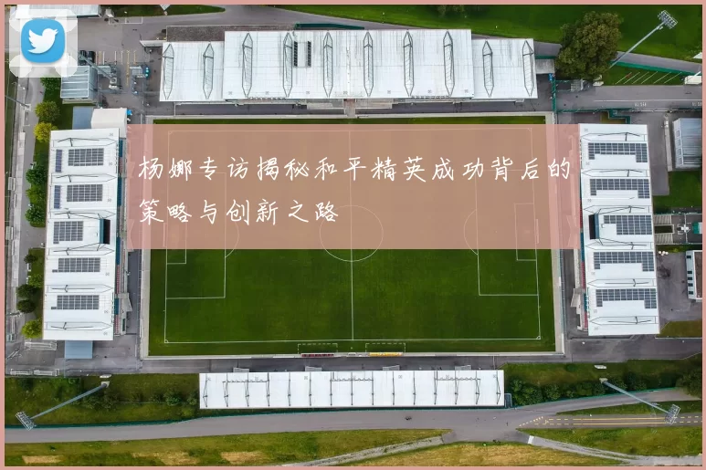 杨娜专访揭秘和平精英成功背后的策略与创新之路
