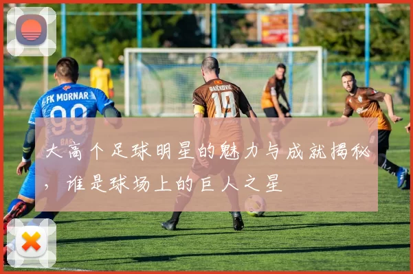 大高个足球明星的魅力与成就揭秘，谁是球场上的巨人之星