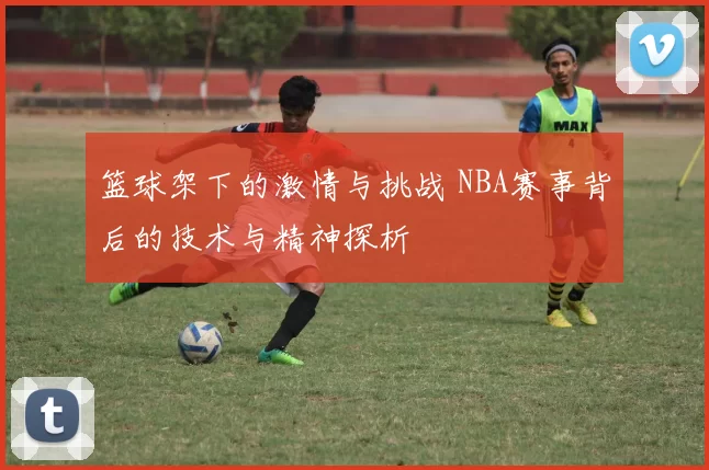 篮球架下的激情与挑战 NBA赛事背后的技术与精神探析