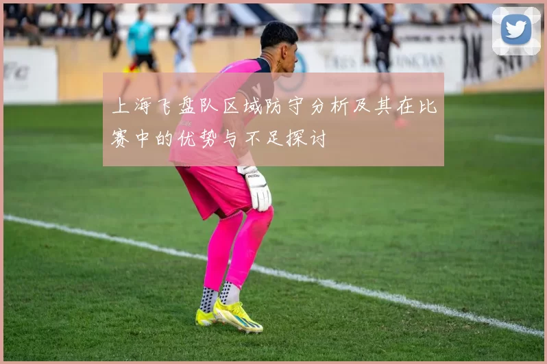 上海飞盘队区域防守分析及其在比赛中的优势与不足探讨