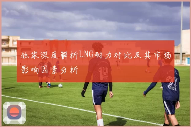 独家深度解析LNG耐力对比及其市场影响因素分析