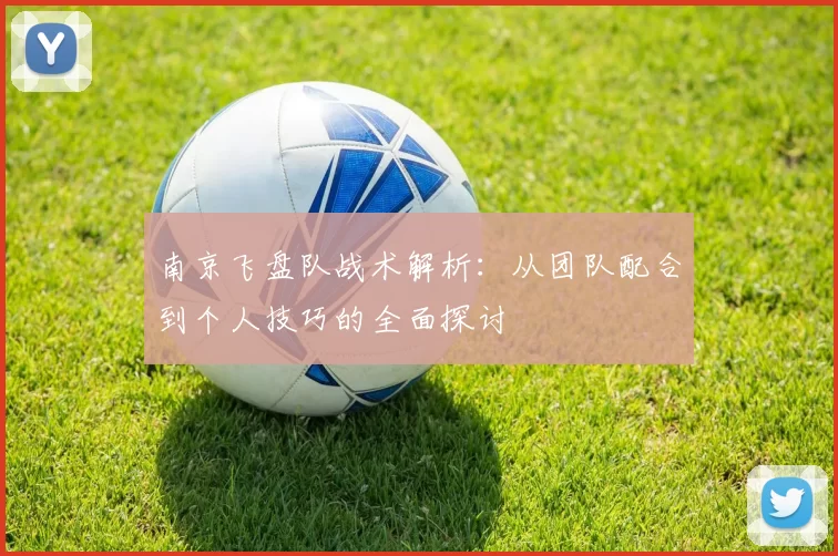 南京飞盘队战术解析：从团队配合到个人技巧的全面探讨