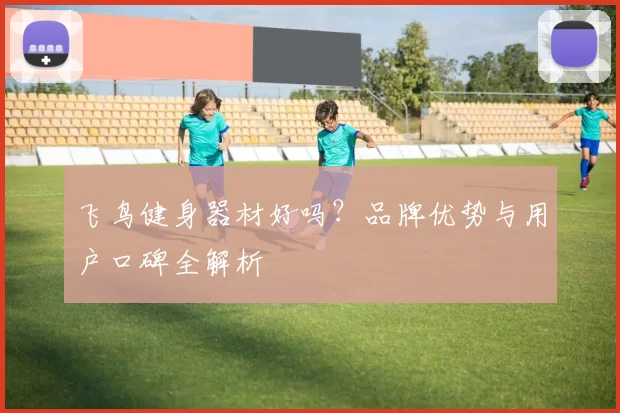 飞鸟健身器材好吗？品牌优势与用户口碑全解析