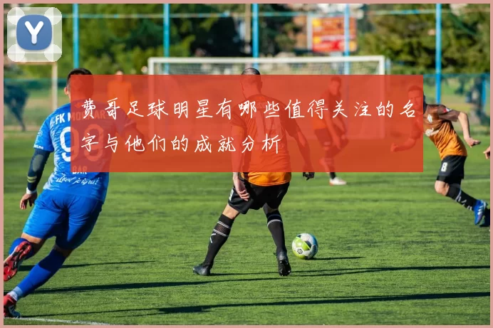 费哥足球明星有哪些值得关注的名字与他们的成就分析