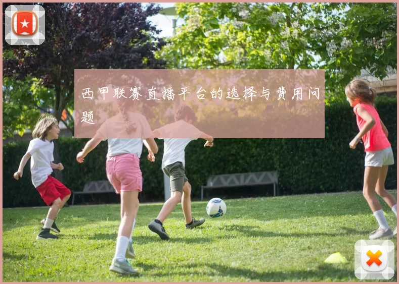 西甲联赛直播平台的选择与费用问题