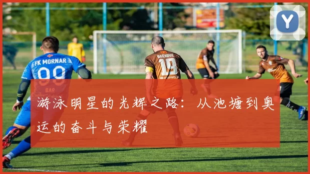 游泳明星的光辉之路：从池塘到奥运的奋斗与荣耀