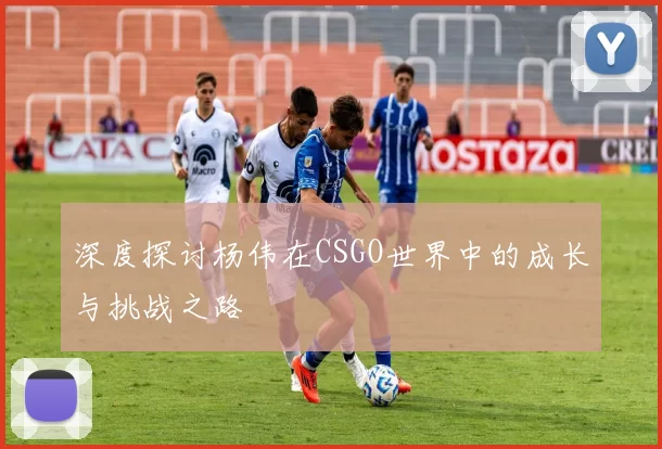 深度探讨杨伟在CSGO世界中的成长与挑战之路