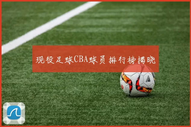 现役足球CBA球员排行榜揭晓
