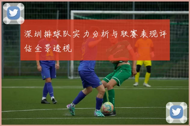 深圳排球队实力分析与联赛表现评估全景透视