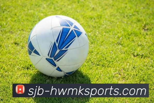 mk体育发展历程